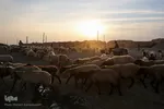 آب به بشیرآباد رسید
