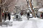 بارش سنگین برف در تبریز‎