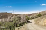 سامان شهر شکوفه‎های بهاری