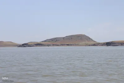 بازدید تور رسانه‌ای از کاکایی ارمنی در جزیره شاهسون دریاچه ارومیه و مزرعه پرورش آرتمیای بندر رحمانلو در عجب‌شیر