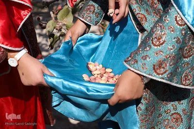 جشنواره پسته آذرشهر‎