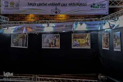 اختتامیه نخستین جشنواره بین المللی عکس خرما در شیراز