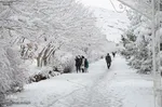 تبریز سپید پوش