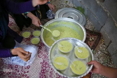 شهر چهار فصل، قطب تنفس جنوب كشور