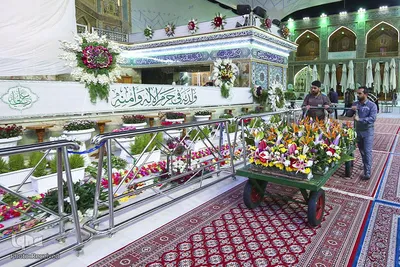 آستان مقدس امام علی(ع)