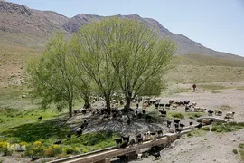 کوچ عشایر در فارس‎