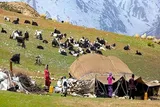 رسیدگی به نیازهای عشایر وظیفه شرعی و ملی است