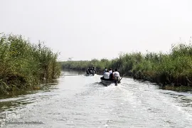 تالاب شادگان