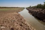 سطح آب کارون به دلیل انتقال آب و عدم مدیریت آب کاهش چشم گیری داشته است.
