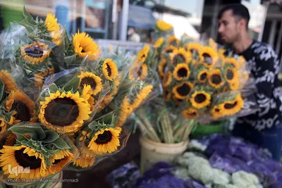 بازار گل شهید محلاتی در روز ملی گل