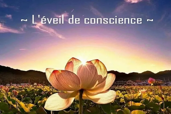 L'éveil de la conscience dans les enseignements du prophète Noé (as)