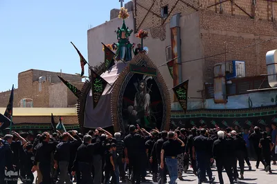 مراسم نخل‌برداری به مناسبت شهادت امام رضا(ع) در یزد‎