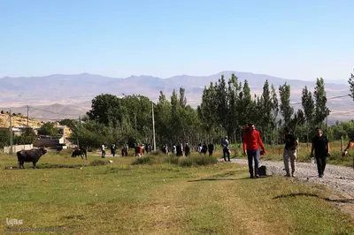 بازدید خبرنگاران استانی از مناطق عشایرنشین و ییلاقی اهر