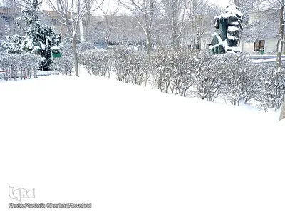 بارش برف در واپسین روزهای فصل زمستان در اهر