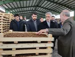 افتتاح چندین پروژه در شهرستان ملایر‎