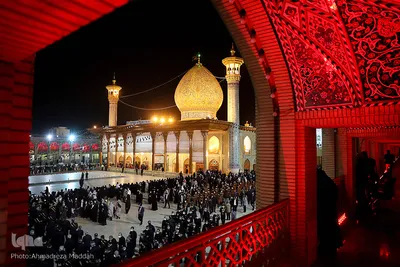 مراسم لاله گردانی شام شهادت حضرت احمد بن موسی الکاظم (ع)