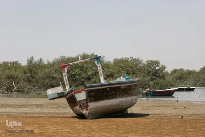 طبیعت صفر مرزی چابهار