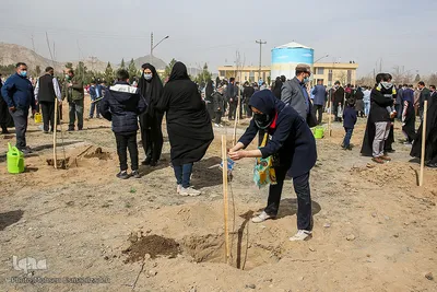 پویش سراسری درختکاری - مشهد
