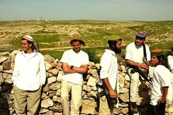 Zionist Settlers Cut Down Wooden Electric Poles in West Bank Town
