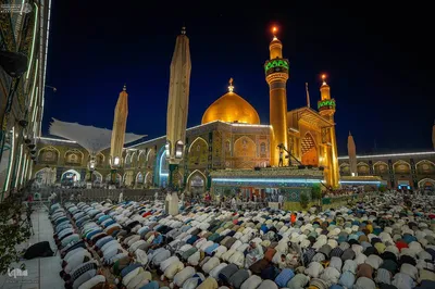 زائران و دلدادگان علوی،در شب عید بزرگ ولایت
