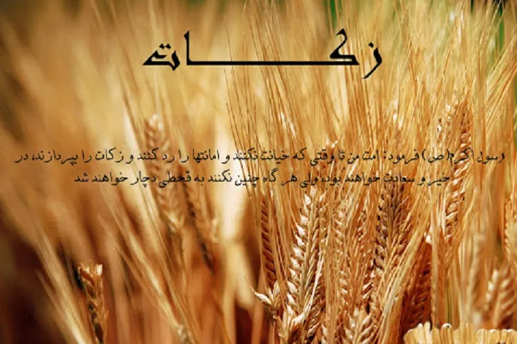 جمع‌آوری یک میلیارد تومان زکات در خمین