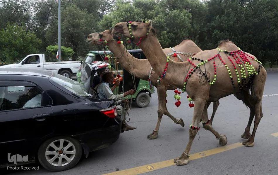 عيد الأضحي المبارك في العالم