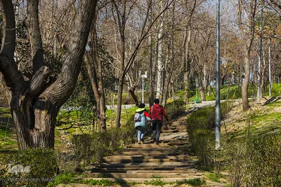 هوای بهاری تهران