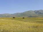 طبیعت زیبای قوشاداغ در اهر