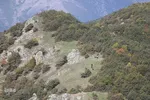 بقعه امامزاده پیرداوود‎