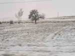طبیعت برفی ارتفاعات و مناطق روستایی اهر
