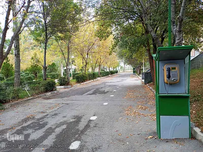 خودنمایی فصل خزان در اولین روزهای فصل پاییز