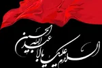 فیلم | ابتهال‌خوانی سیدکریم موسوی در مدح امام حسین(ع)