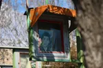 تجدید میثاق دانشگاهیان استان مرکزی با شهدا‎