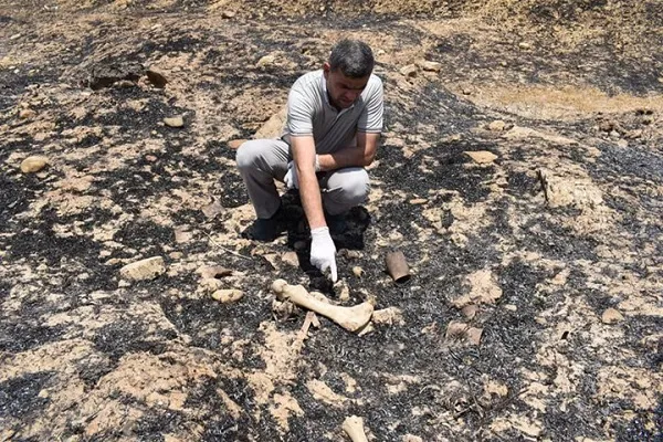 الكشف عن مقبرة جماعية تضم 600 رفات بمحافظة 
