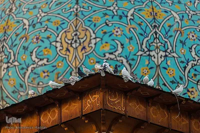 ۱۷ رجب سالروز بزرگداشت شهادت حضرت احمد بن موسی(ع)