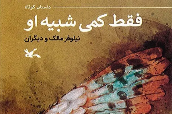 کتاب «فقط کمی شبیه او» منتشر شد