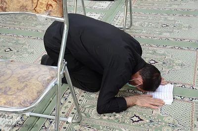 مراسم شب تاسوعا در دانشگاه تبریز‎‎