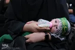 مراسم شیرخوارگان حسینی در یاسوج