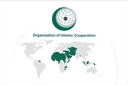 OIC: Indiens Bewegungen in Kaschmir brechen UNSC-Resolutionen