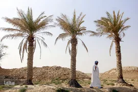 کمترین تحریری از یک زندگانی