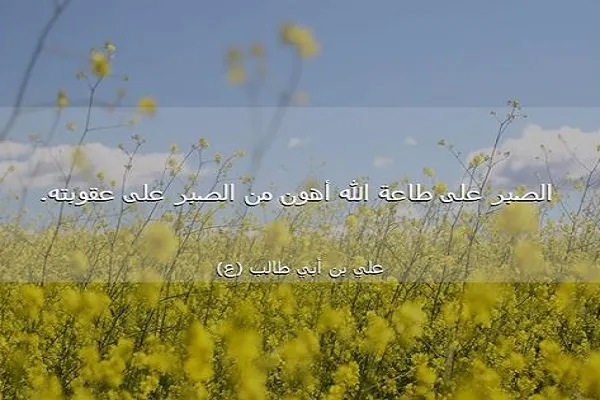 العاقل هو الذي يختار الصبر على الطاعة