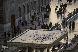 آیین سنتی اذن عزا در حرم مطهر رضوی