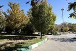 طبیعت پاییزی تبریز