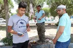 خرید و  فروش دام در روز عید قربان