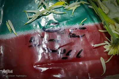 استقبال از  پیکر شهید "منتجبی" پس از ۳۸ سال - زنجان