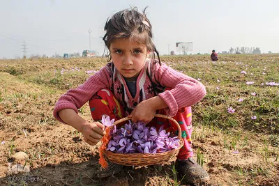 کشمیر؛ سرزمین زیبایی‌های طبیعی و مردمان باایمان