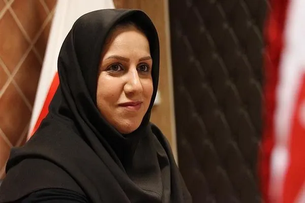 سلیمانی: خط قرمز‌ها مانع نگارش اثر می‌شود/ نبود علاقه،‌ اثر را ابتر می‌کند