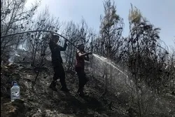 Algerien macht Israel für tödliche Waldbrände verantwortlich