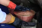 سفید گری مس/عکاس:پریسا بهزادی