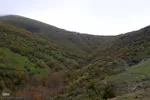 طبیعت پاییزی منطقه جنگلی تنباکولوی هوراند